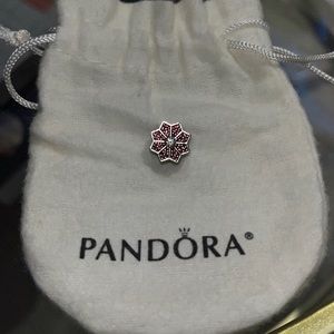 Pandora poinsettia charm